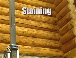  Frederick County, Virginia Log Home Staining